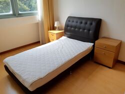 Gloucester Mansions (D11), Apartment #338775621